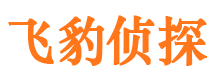 枝江市私家侦探